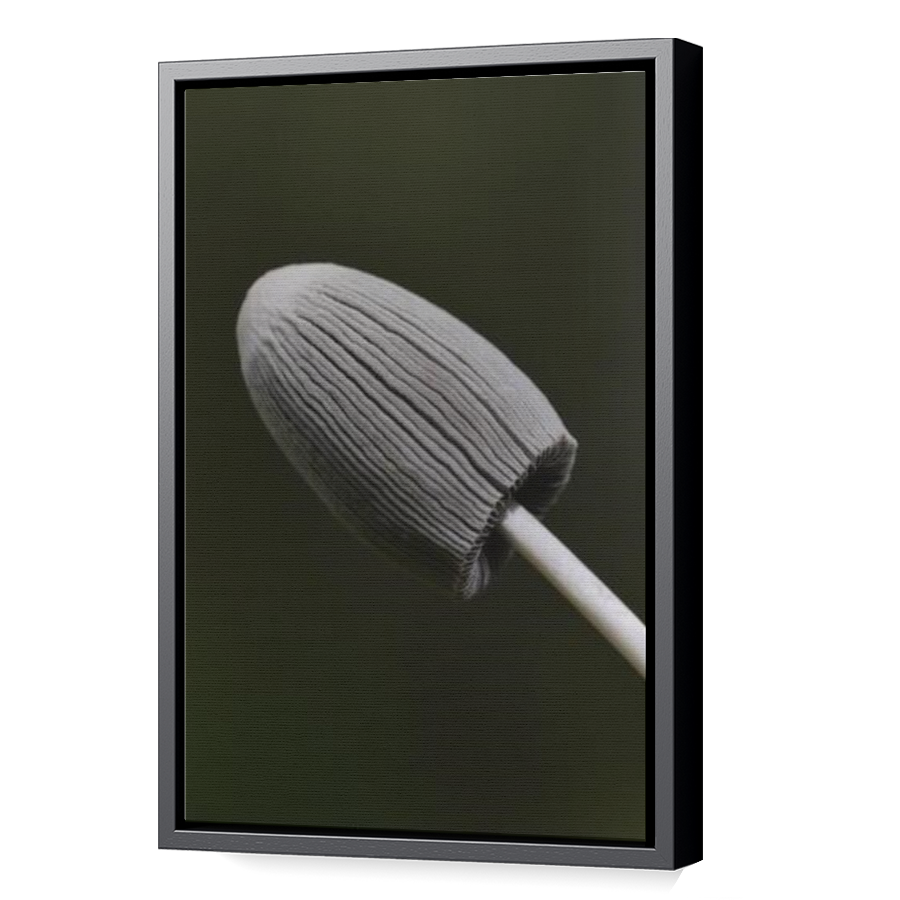 Thumbnail for Canvas - Black Floating Frame