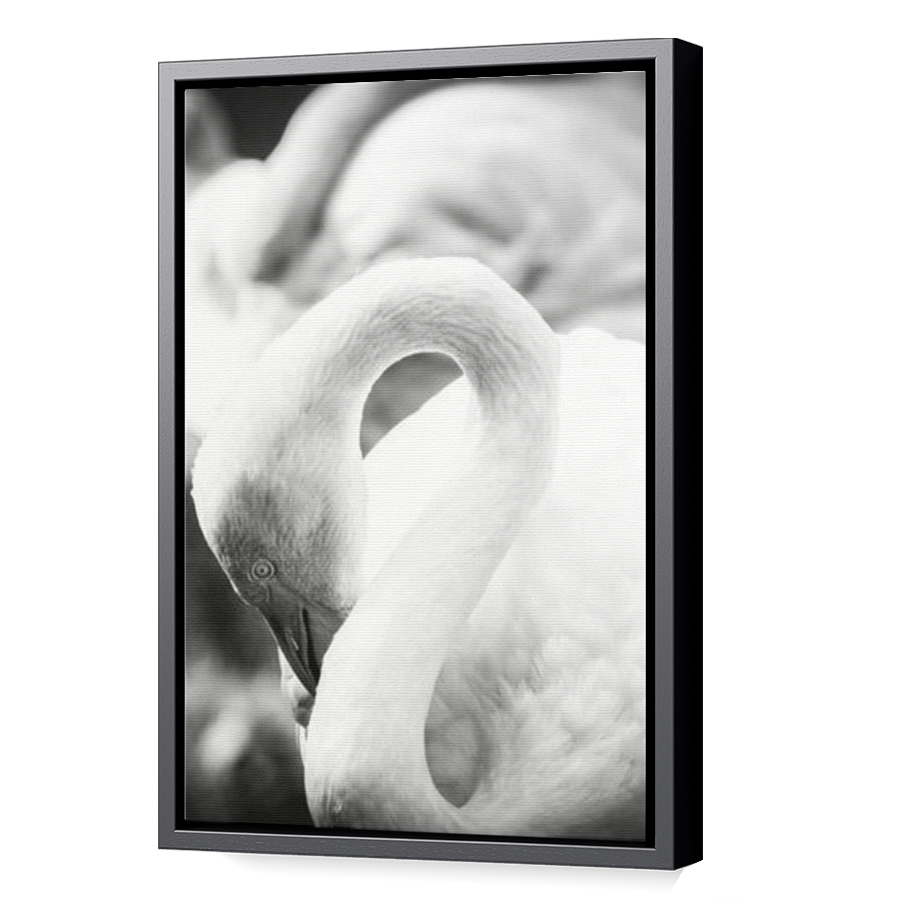 Thumbnail for Canvas - Black Floating Frame