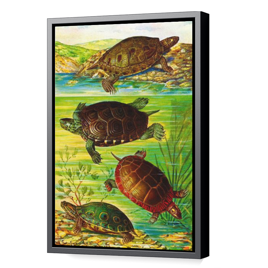 Thumbnail for Canvas - Black Floating Frame