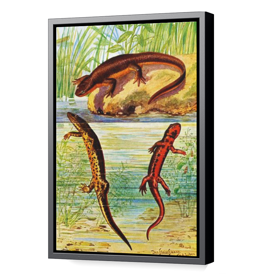 Thumbnail for Canvas - Black Floating Frame