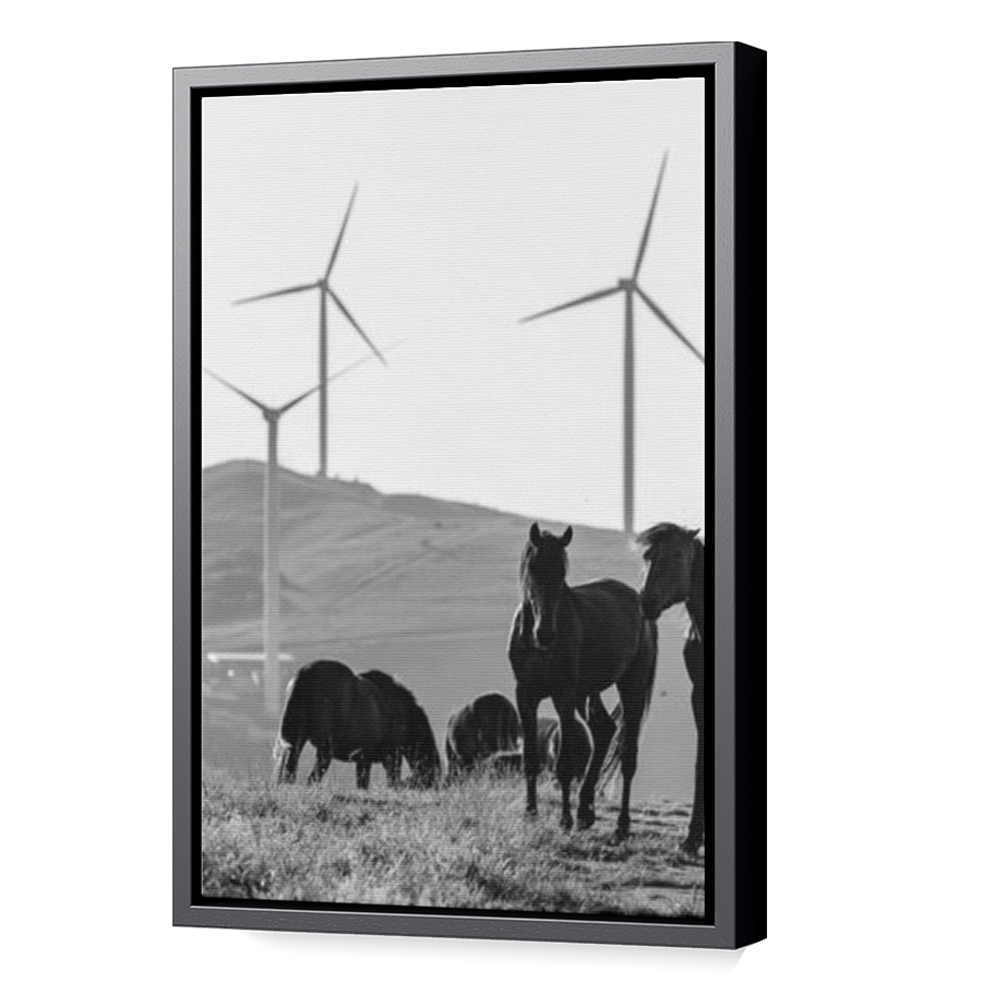 Thumbnail for Canvas - Black Floating Frame