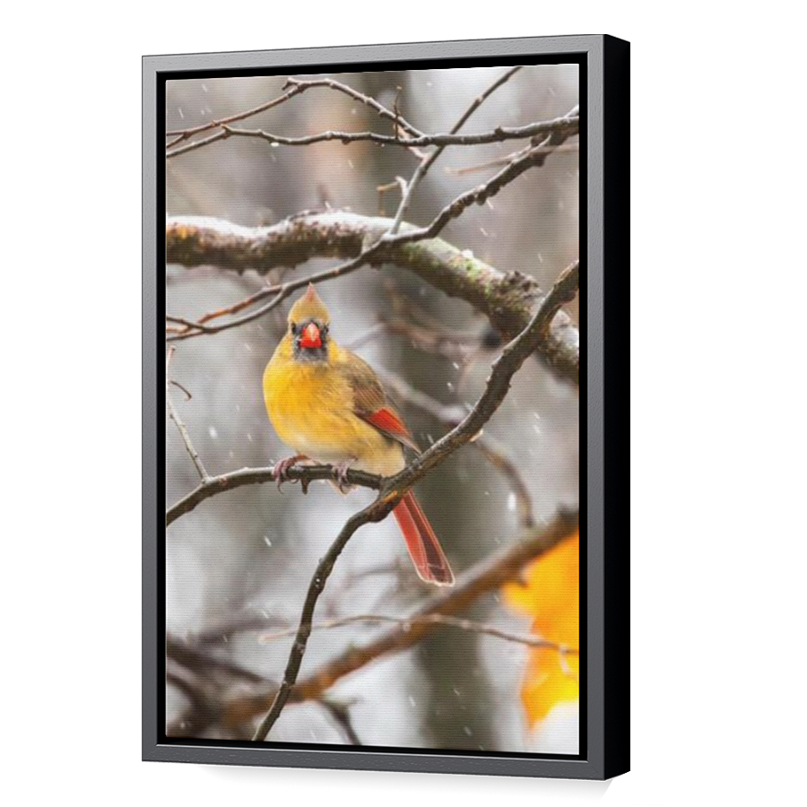 Thumbnail for Canvas - Black Floating Frame