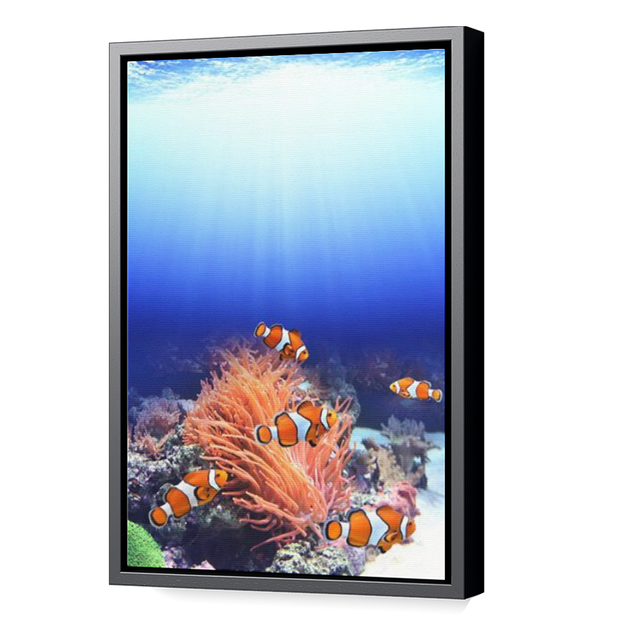 Thumbnail for Canvas - Black Floating Frame