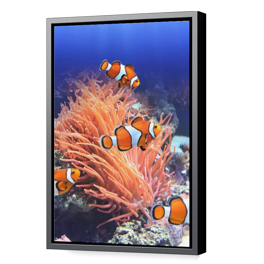 Thumbnail for Canvas - Black Floating Frame
