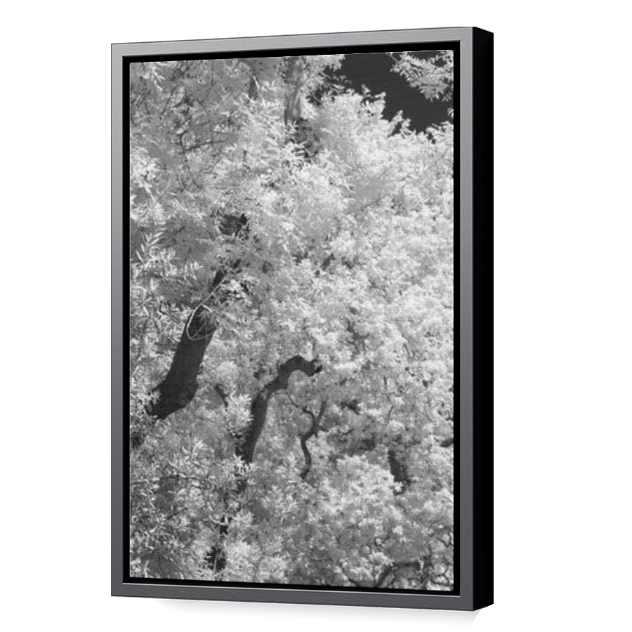 Thumbnail for Canvas - Black Floating Frame