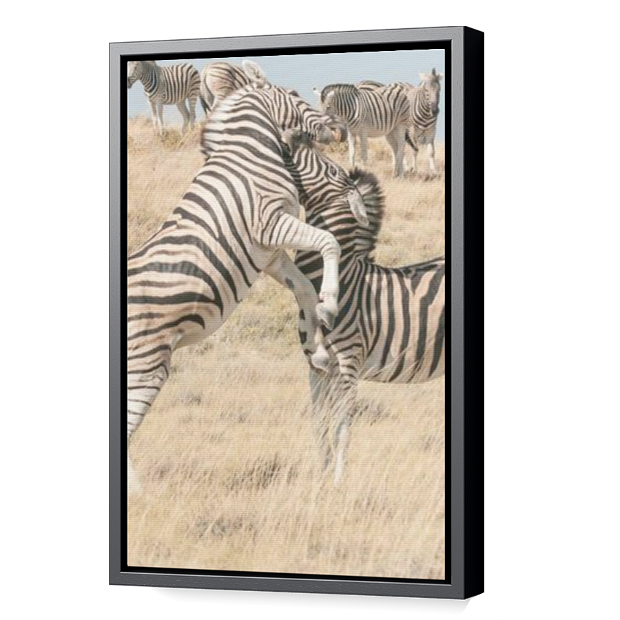 Thumbnail for Canvas - Black Floating Frame