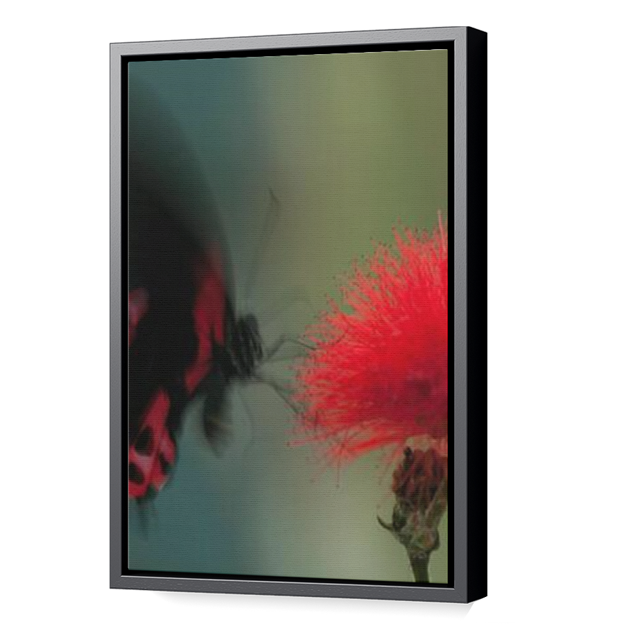 Thumbnail for Canvas - Black Floating Frame