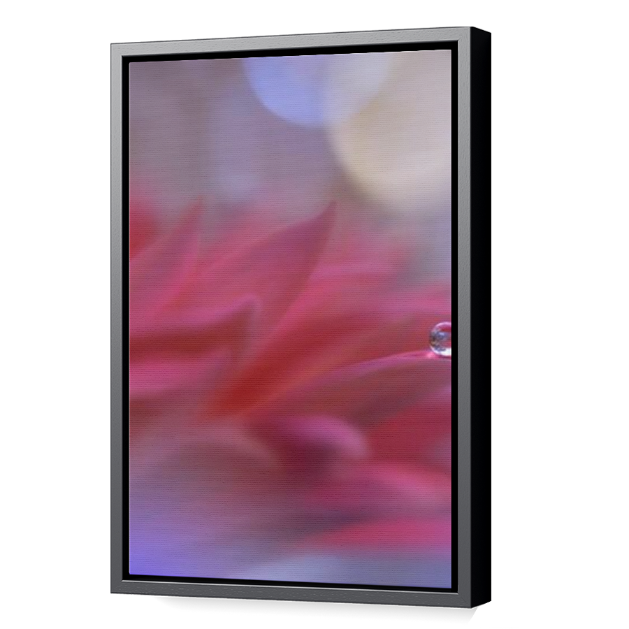 Thumbnail for Canvas - Black Floating Frame