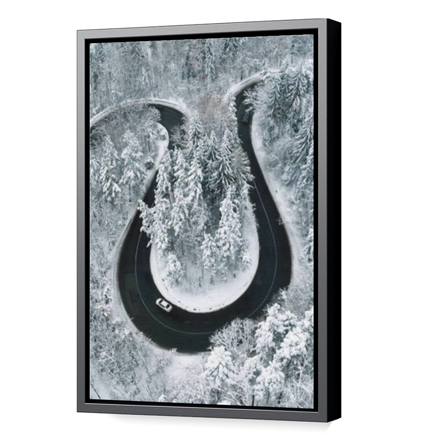 Thumbnail for Canvas - Black Floating Frame