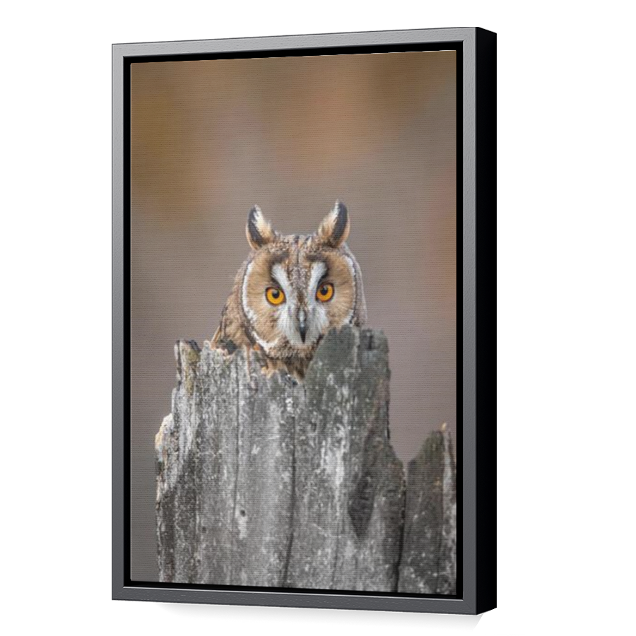 Thumbnail for Canvas - Black Floating Frame