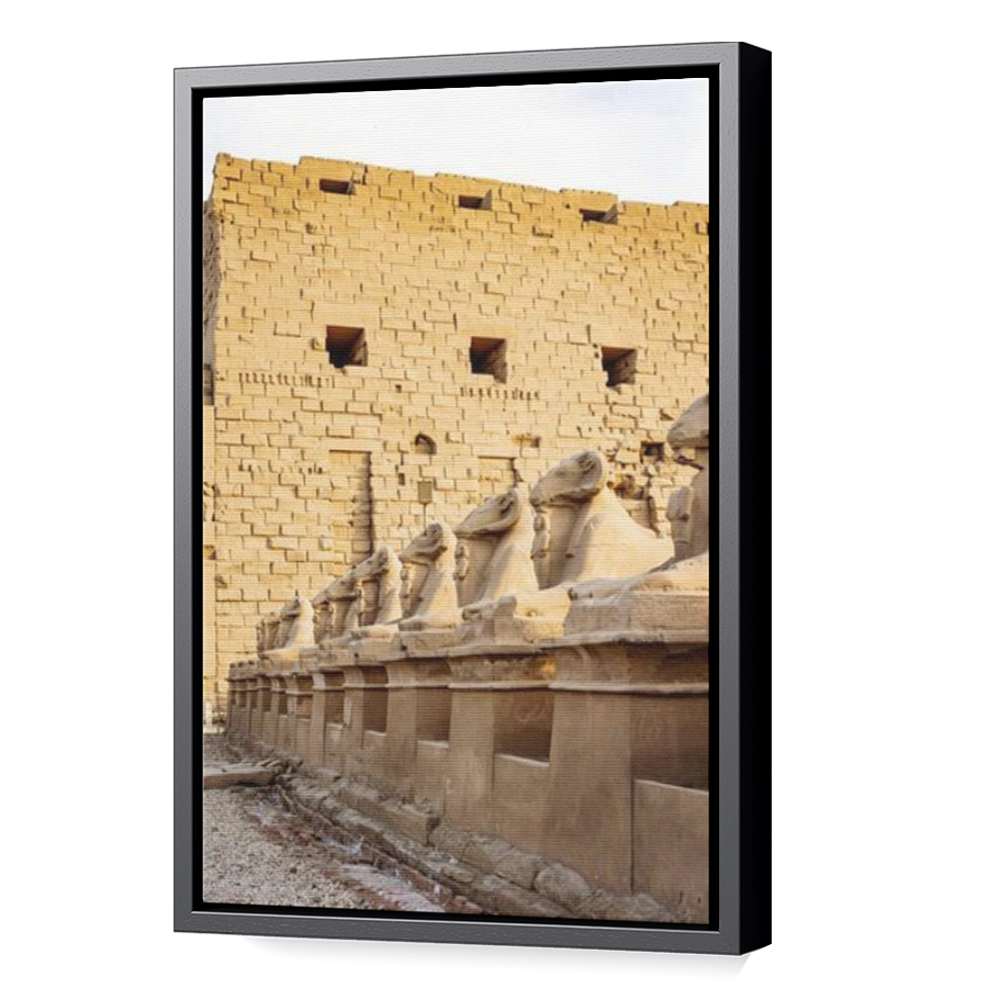 Thumbnail for Canvas - Black Floating Frame