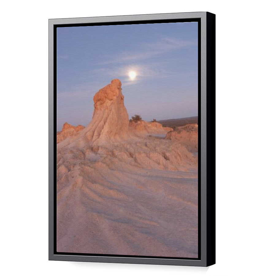 Thumbnail for Canvas - Black Floating Frame