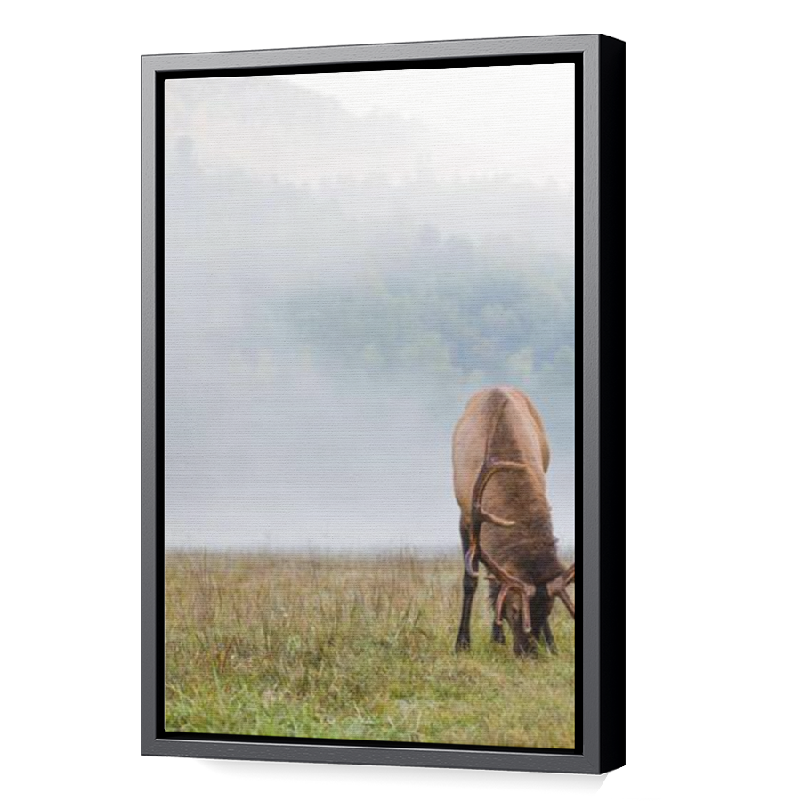 Thumbnail for Canvas - Black Floating Frame