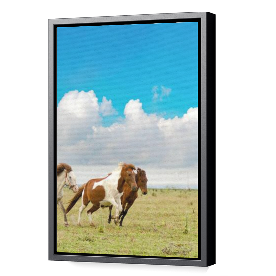 Thumbnail for Canvas - Black Floating Frame
