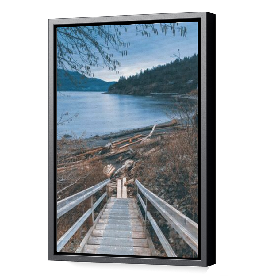 Thumbnail for Canvas - Black Floating Frame