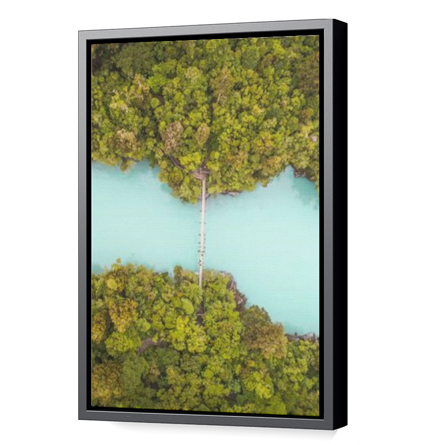 Thumbnail for Canvas - Black Floating Frame