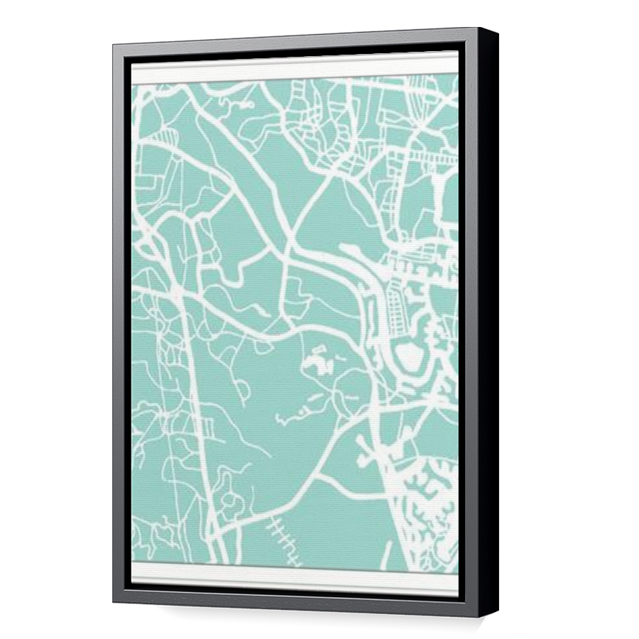 Thumbnail for Canvas - Black Floating Frame