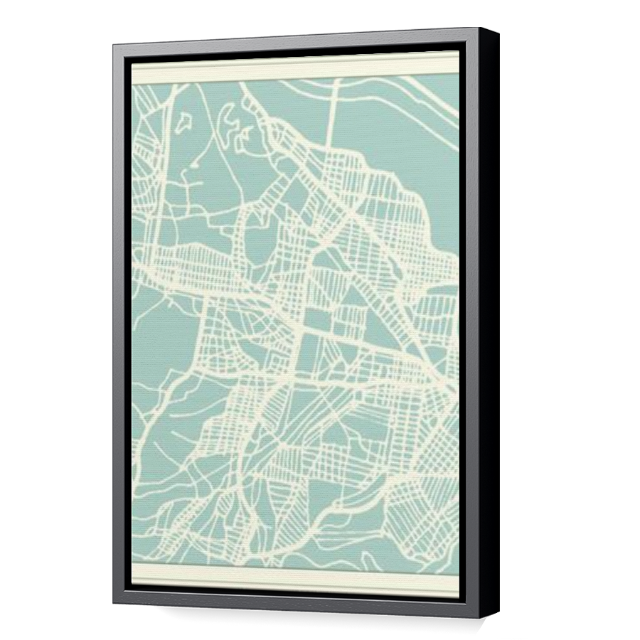 Thumbnail for Canvas - Black Floating Frame