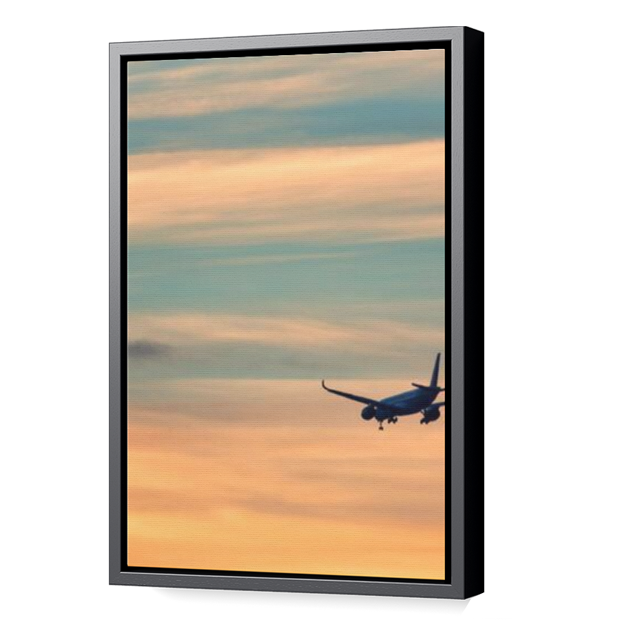 Thumbnail for Canvas - Black Floating Frame