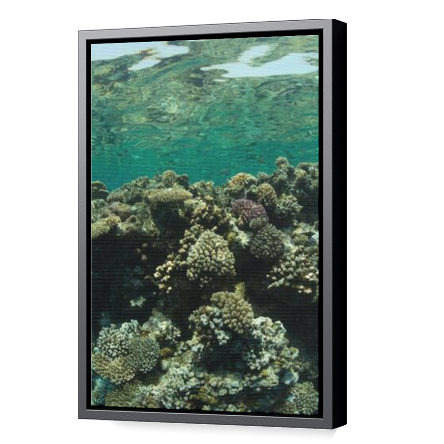 Thumbnail for Canvas - Black Floating Frame