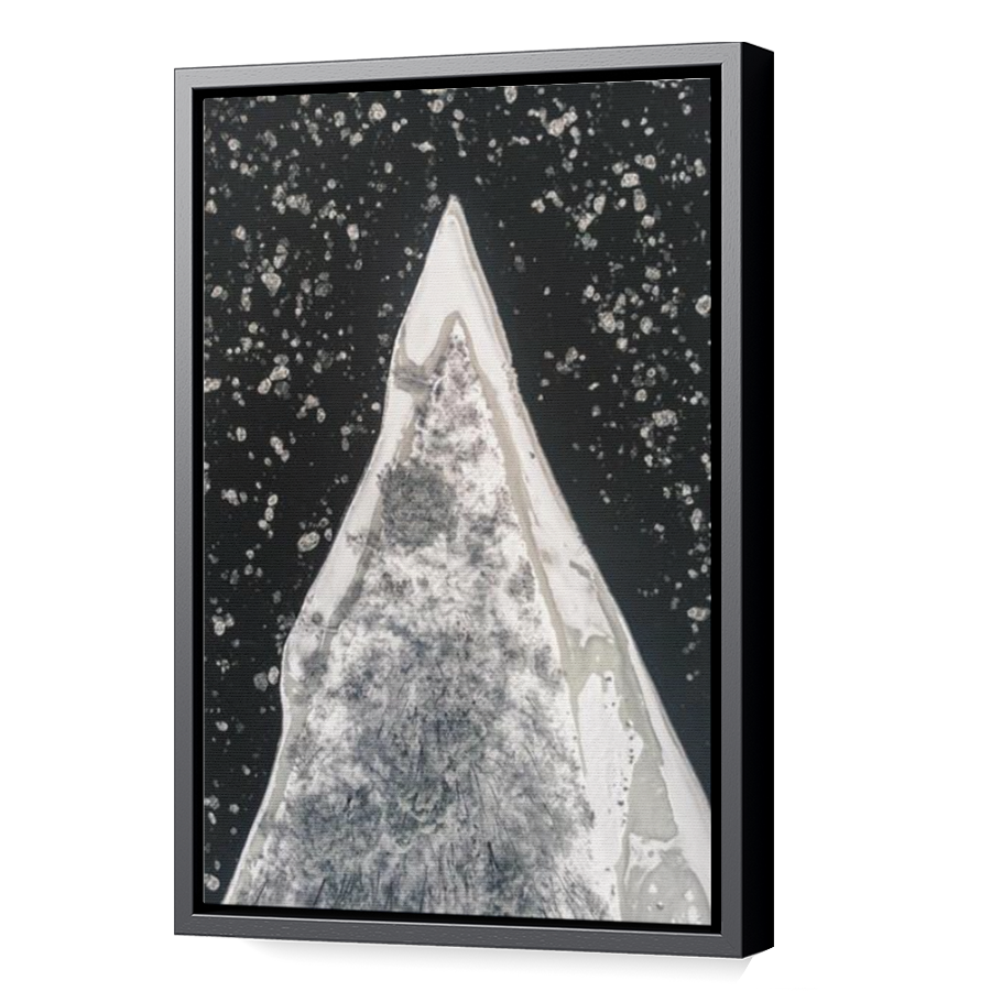 Thumbnail for Canvas - Black Floating Frame