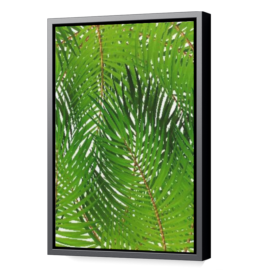 Thumbnail for Canvas - Black Floating Frame