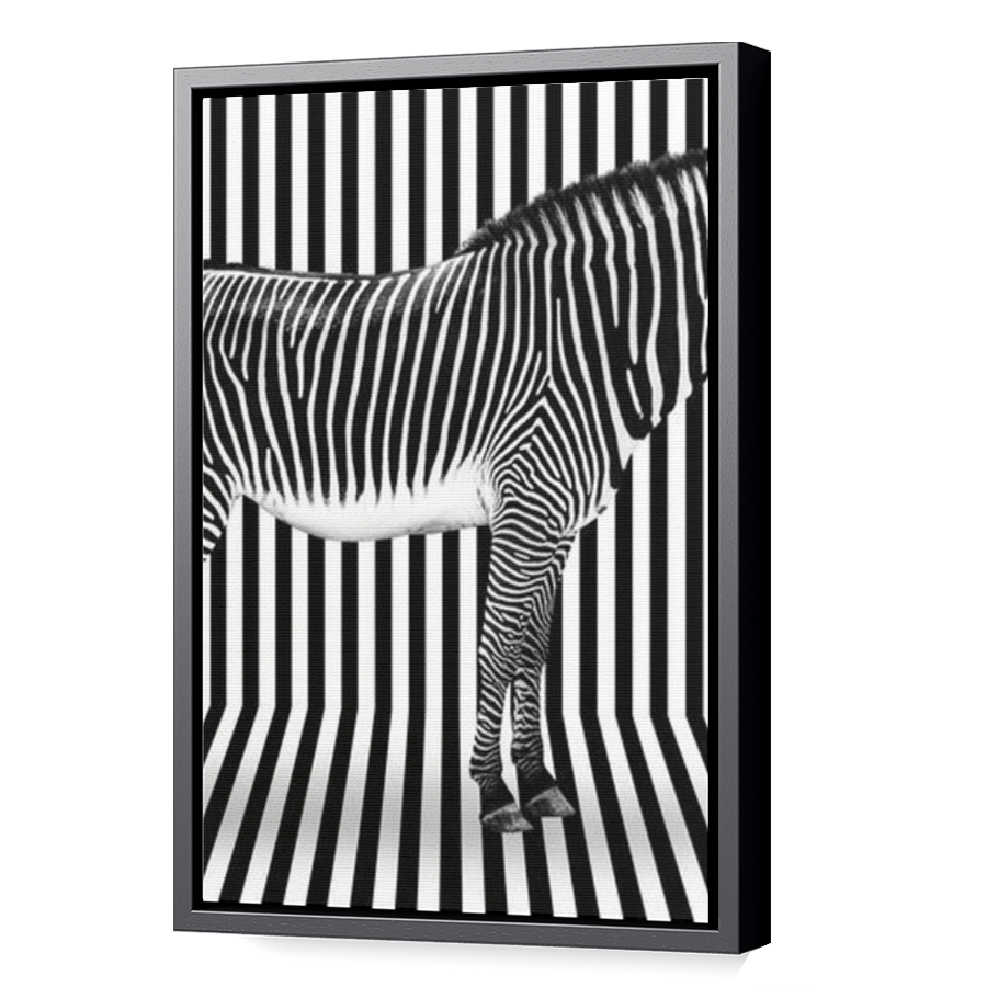 Thumbnail for Canvas - Black Floating Frame