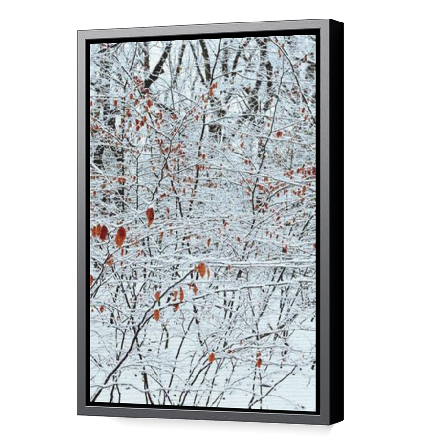 Thumbnail for Canvas - Black Floating Frame