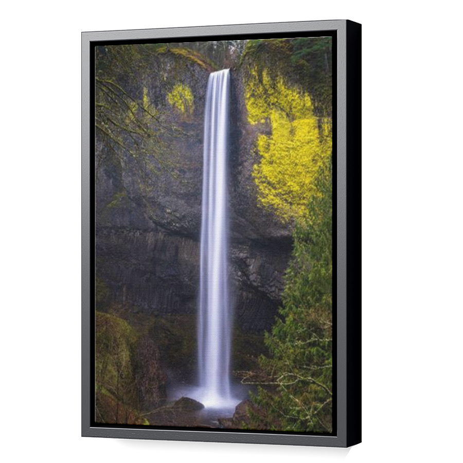 Thumbnail for Canvas - Black Floating Frame