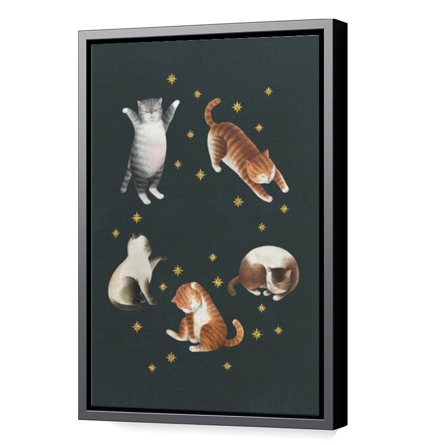 Thumbnail for Canvas - Black Floating Frame