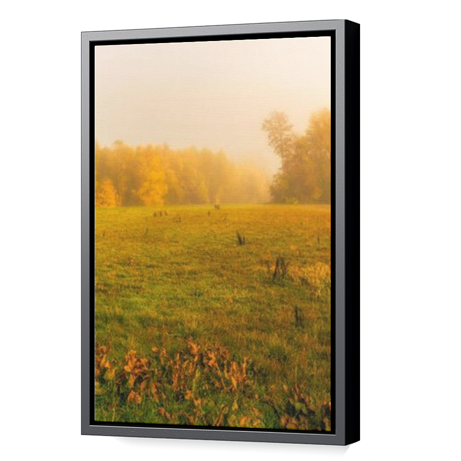 Thumbnail for Canvas - Black Floating Frame