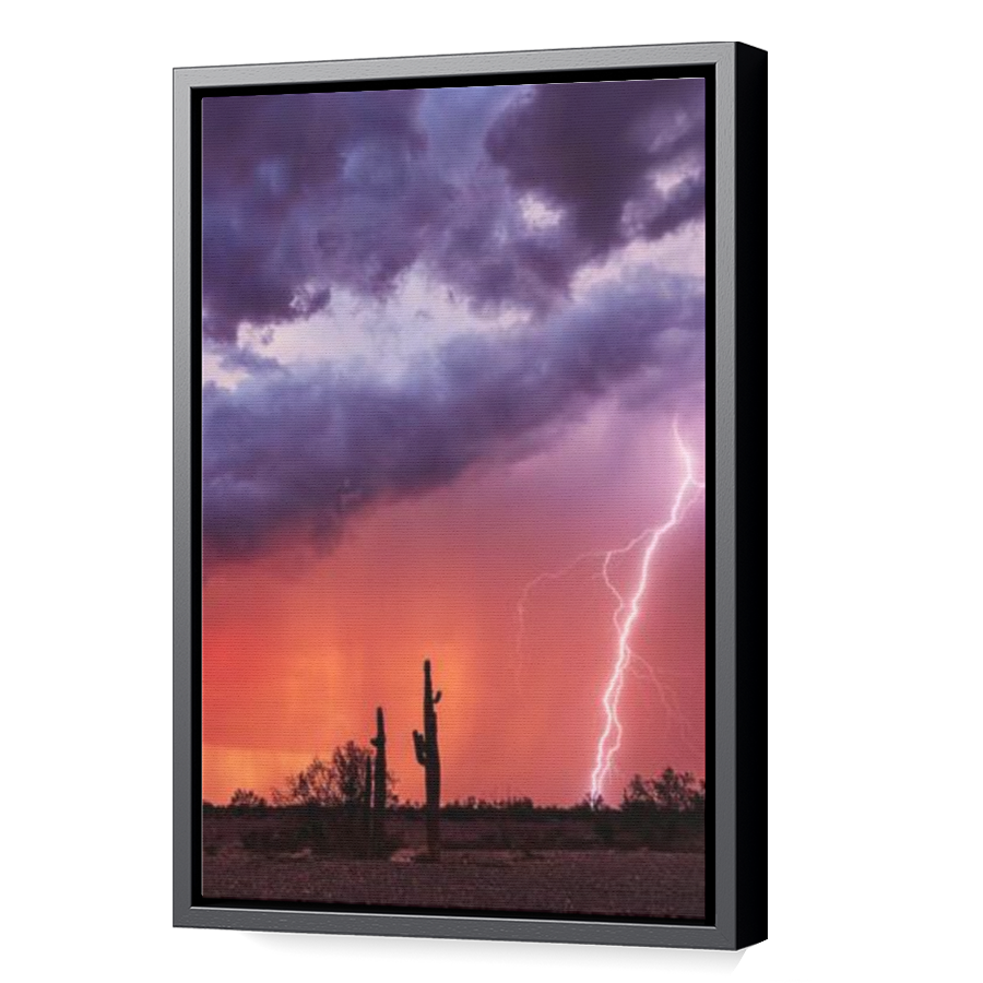 Thumbnail for Canvas - Black Floating Frame