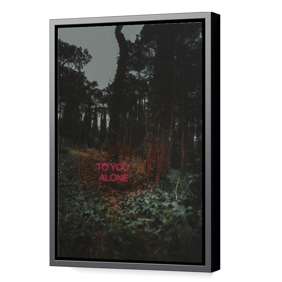 Thumbnail for Canvas - Black Floating Frame
