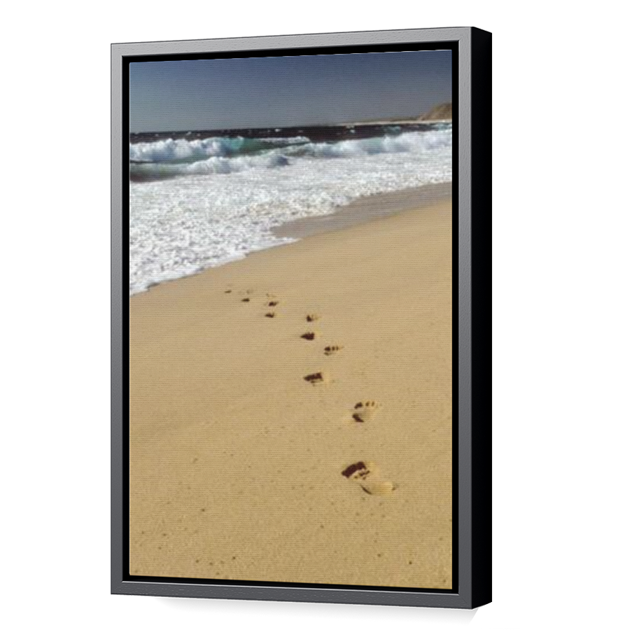 Thumbnail for Canvas - Black Floating Frame