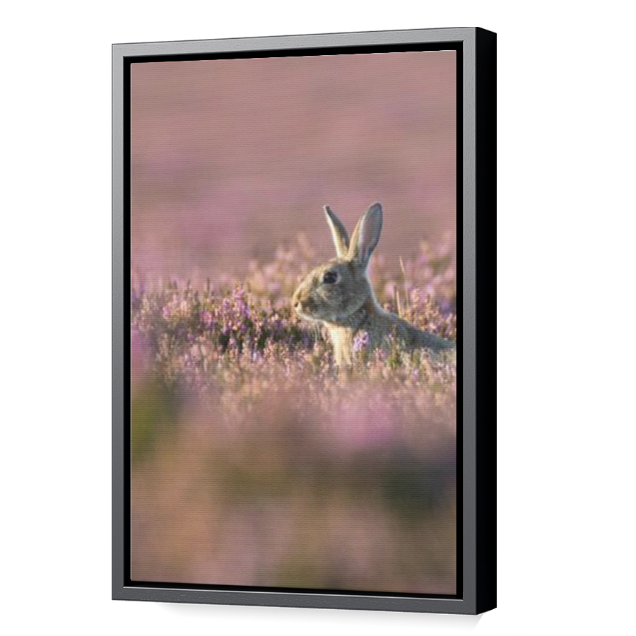 Thumbnail for Canvas - Black Floating Frame