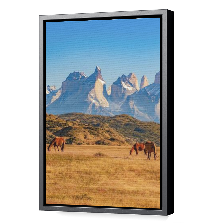 Thumbnail for Canvas - Black Floating Frame