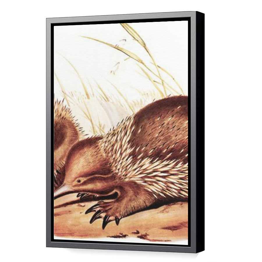 Thumbnail for Canvas - Black Floating Frame