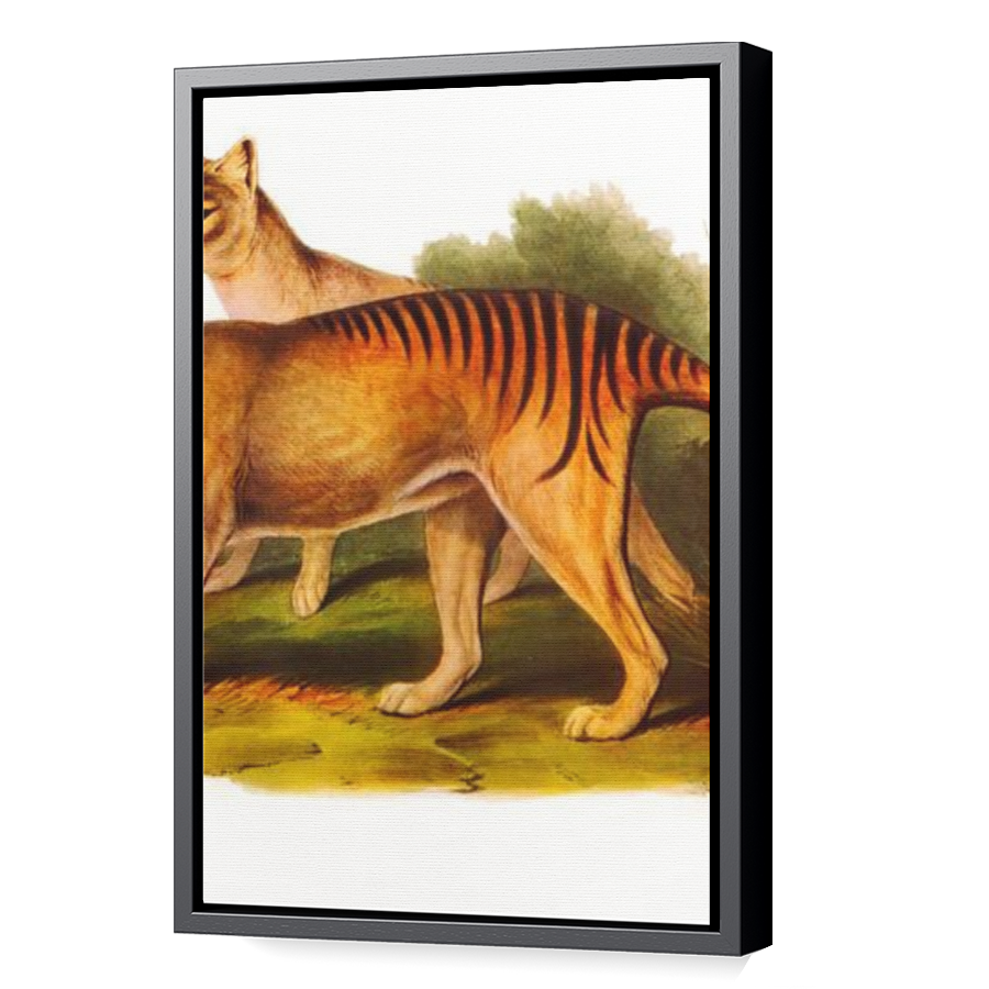 Thumbnail for Canvas - Black Floating Frame