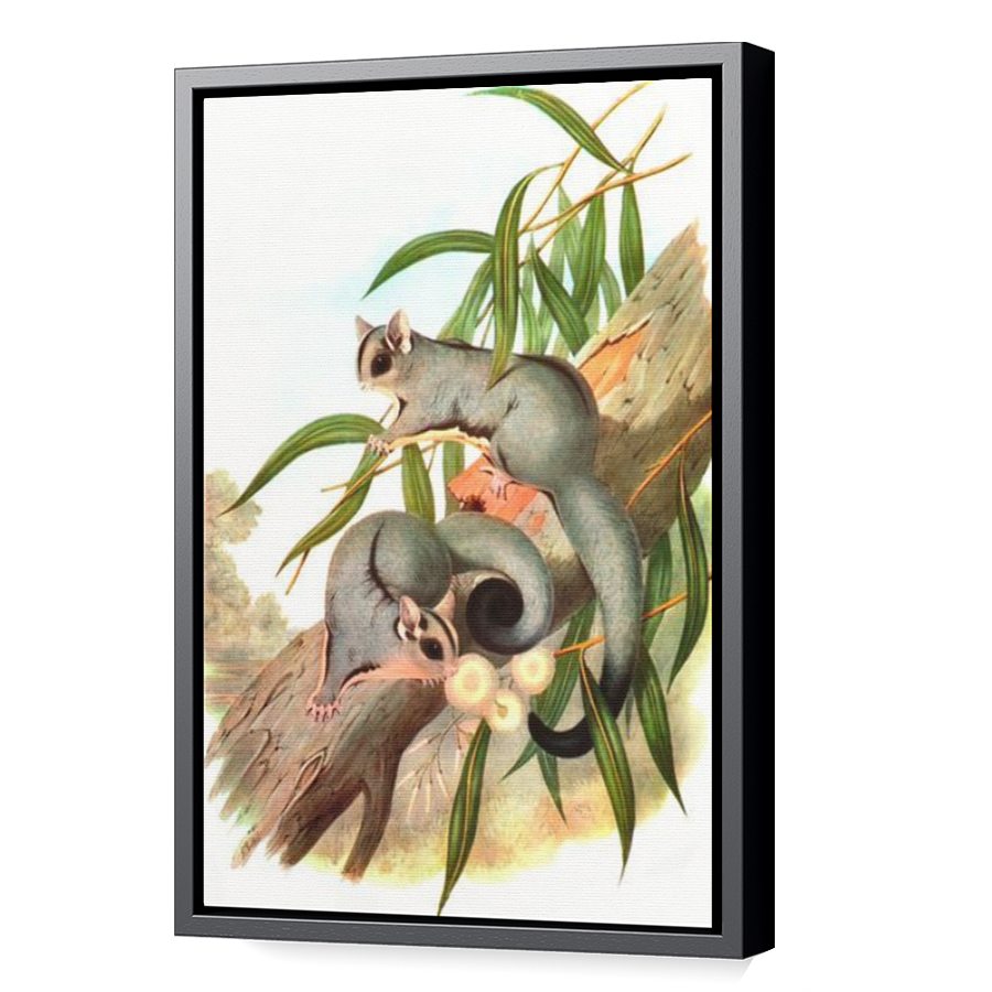 Thumbnail for Canvas - Black Floating Frame