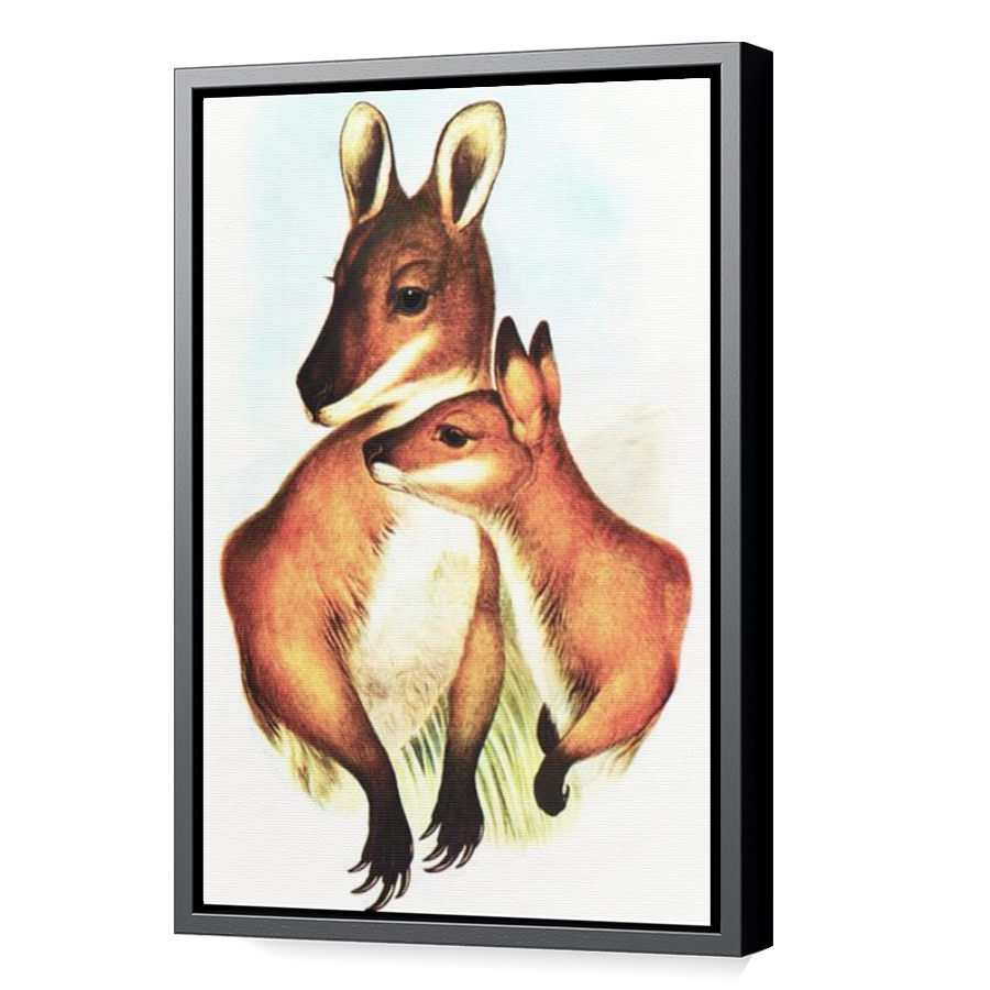 Thumbnail for Canvas - Black Floating Frame