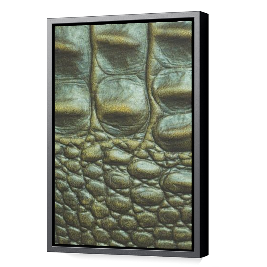 Thumbnail for Canvas - Black Floating Frame