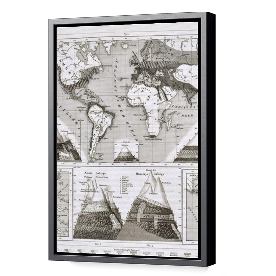 Thumbnail for Canvas - Black Floating Frame