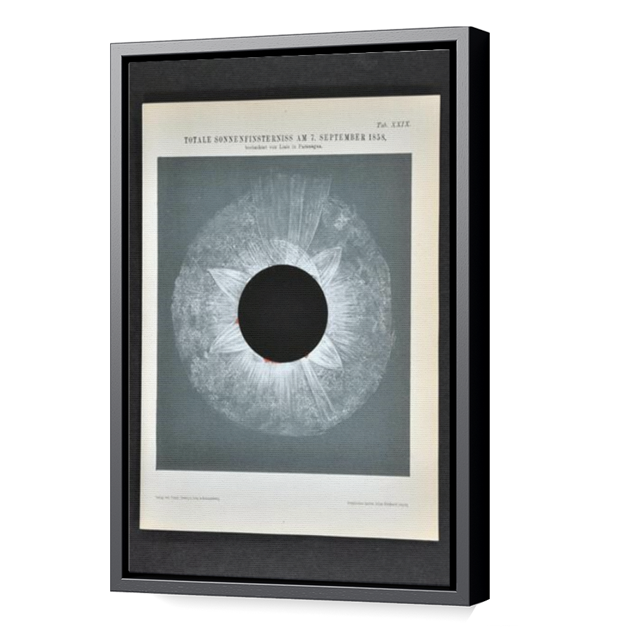 Thumbnail for Canvas - Black Floating Frame