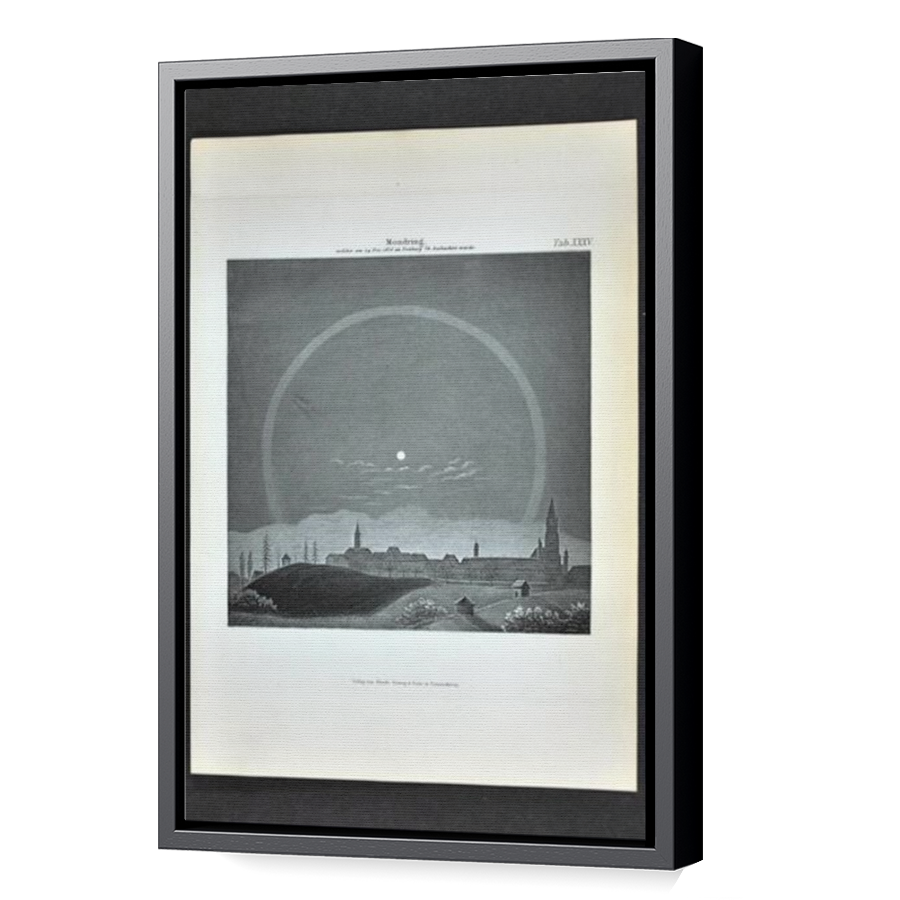 Thumbnail for Canvas - Black Floating Frame