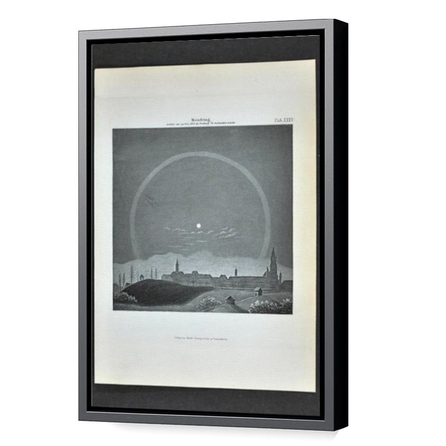 Thumbnail for Canvas - Black Floating Frame