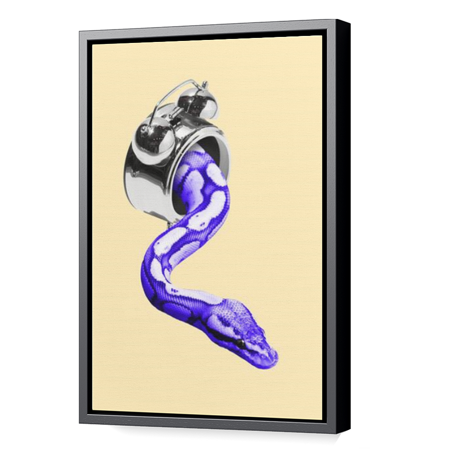 Thumbnail for Canvas - Black Floating Frame
