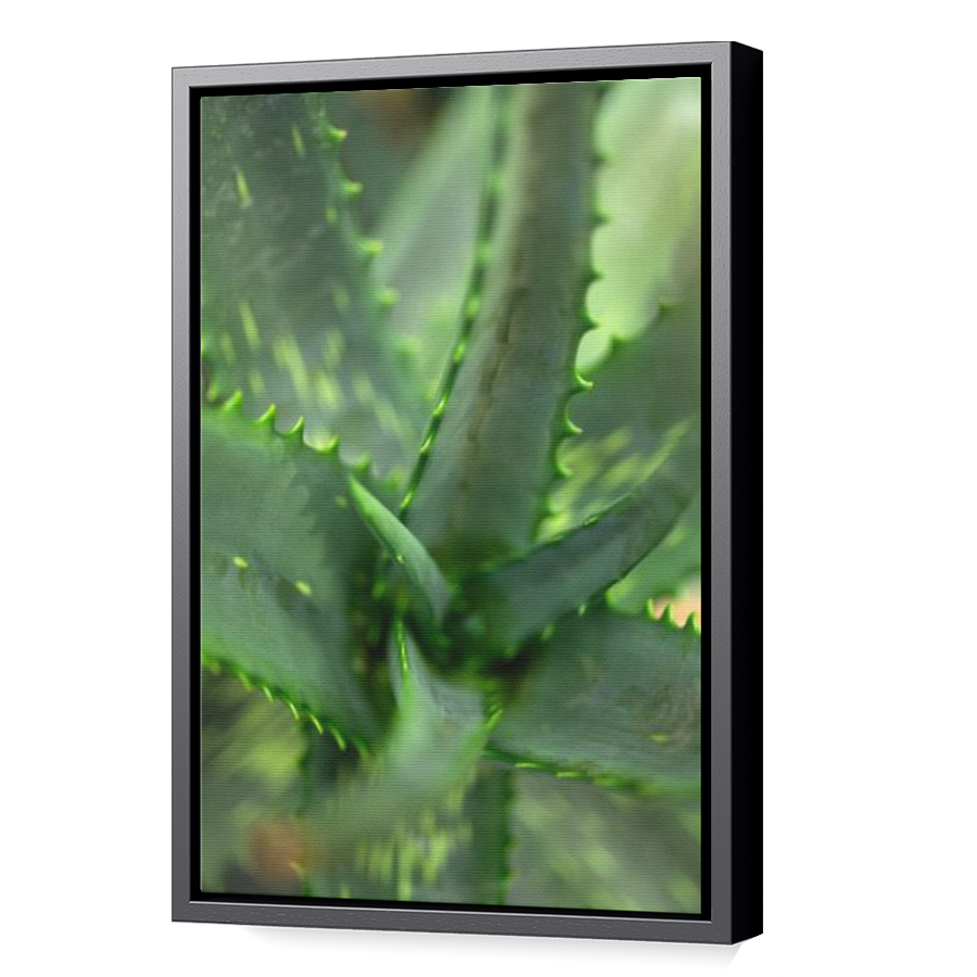 Thumbnail for Canvas - Black Floating Frame