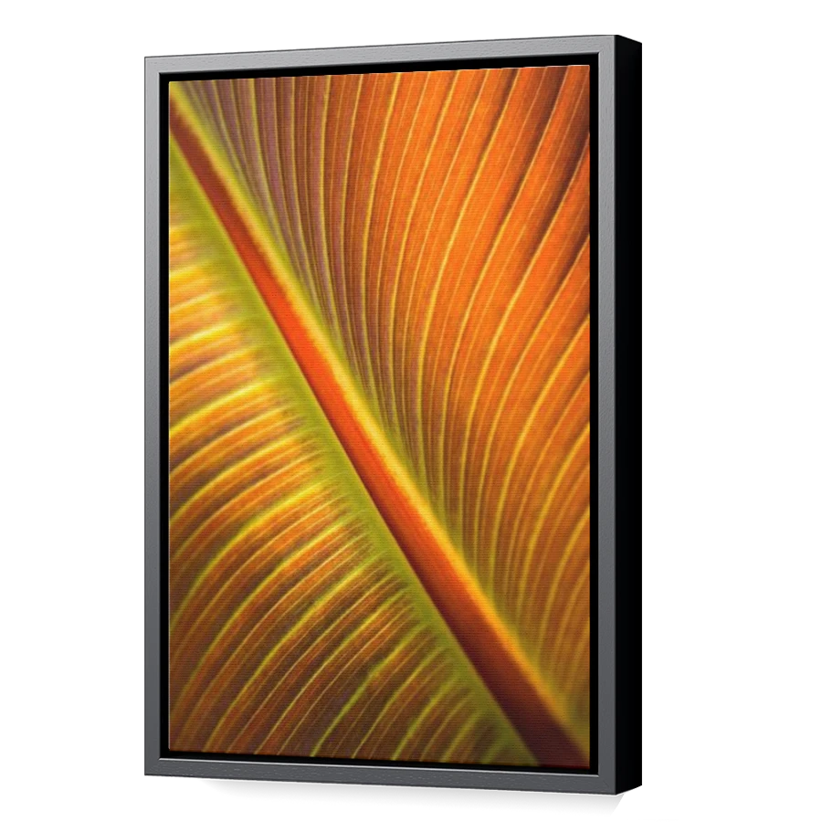 Thumbnail for Canvas - Black Floating Frame