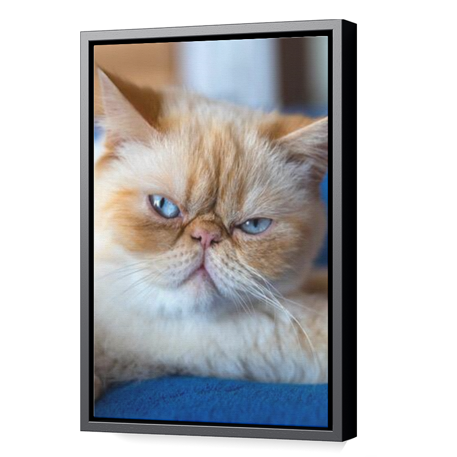 Thumbnail for Canvas - Black Floating Frame