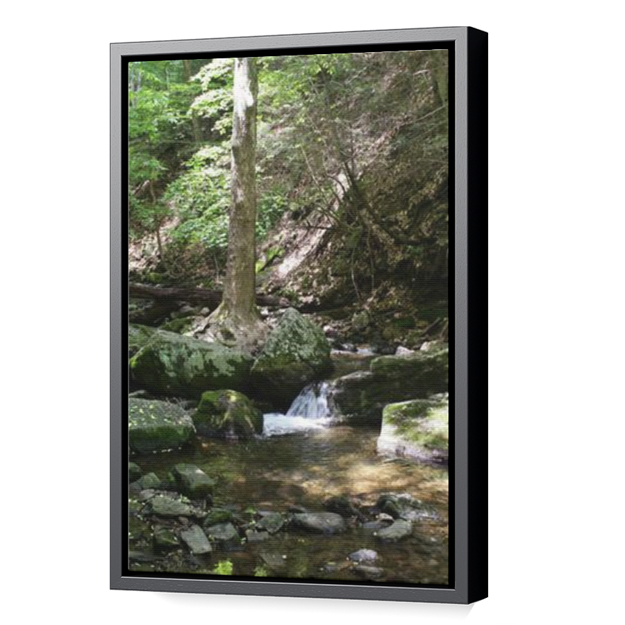 Thumbnail for Canvas - Black Floating Frame